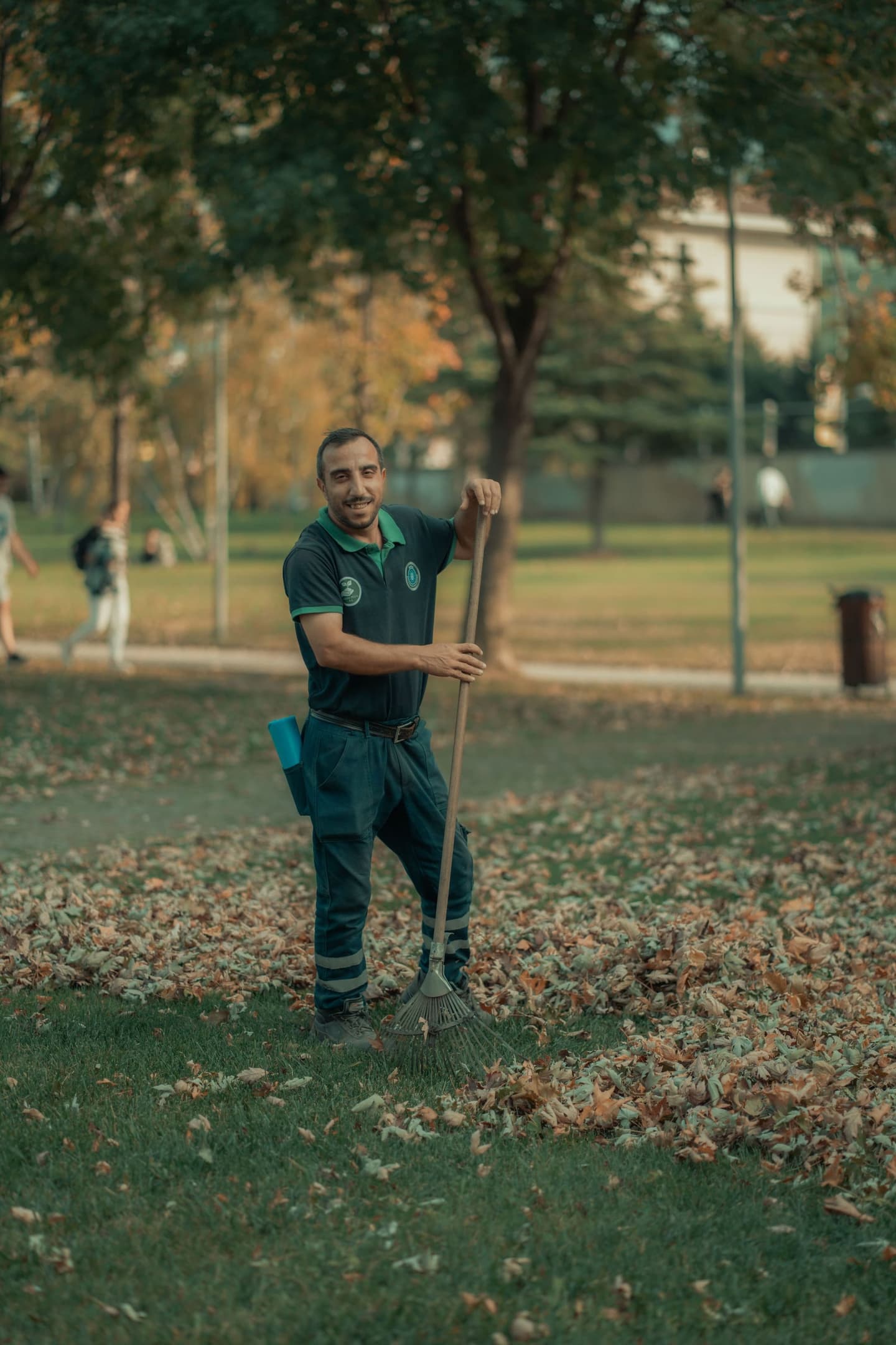 Worker raking autumn leaves on a residential lawn
